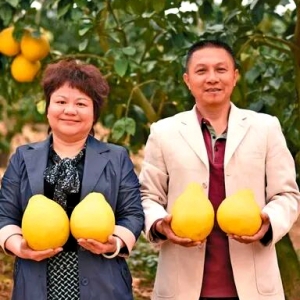 梅州南福村：金柚酿甜振兴路 客家乡村焕新颜