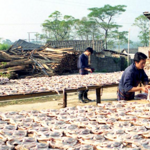 大余南安板鸭，一鸭千年香，赣南客家的舌尖传奇