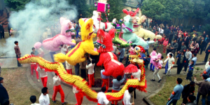 上犹九狮拜象，客家年俗中的欢乐图腾与九州同庆