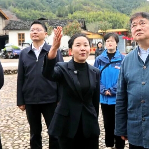 单霁翔连城闹元宵，盛赞客家非遗烟火气