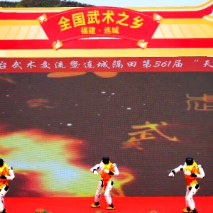 当机器人打起“连城拳”：这场客家武林盛会不一般