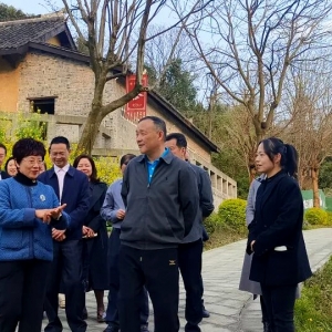 川侨联主席杨东赴内江调研，赋能隆昌客家文化传承发展