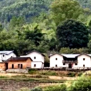 一捧故土慰阿公！印尼华裔三代寻根终抵蕉岭