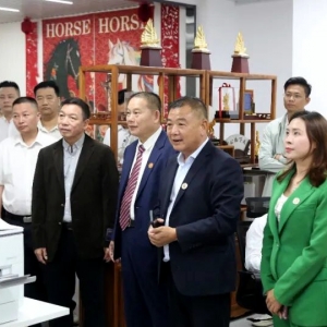 同根同心共奋进！省市饶平商会共筑合作新篇