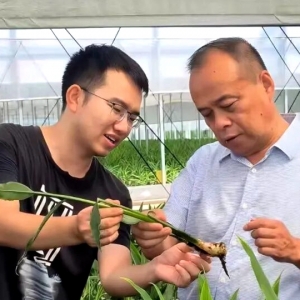 全国首次！赣闽粤豫联动，客家文化成两岸融合新纽带