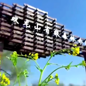 一曲唱醉偃师！客家祖根地山水风光惊艳全网