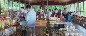 梅县区五一文旅热 松口古镇寻古韵 雁南飞里赏茶香