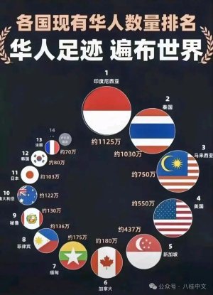 一张图看懂海外华人分布格局，东南亚为何遥遥领先